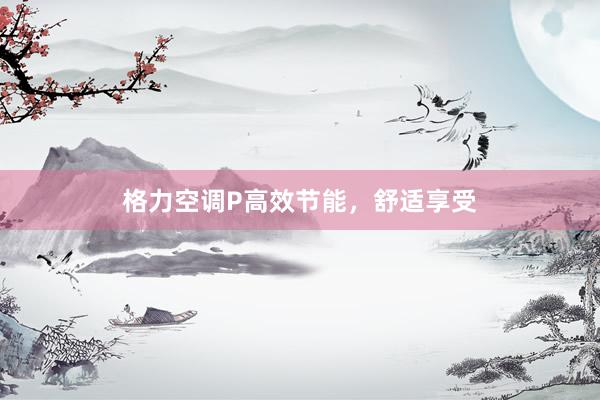 格力空调P高效节能，舒适享受